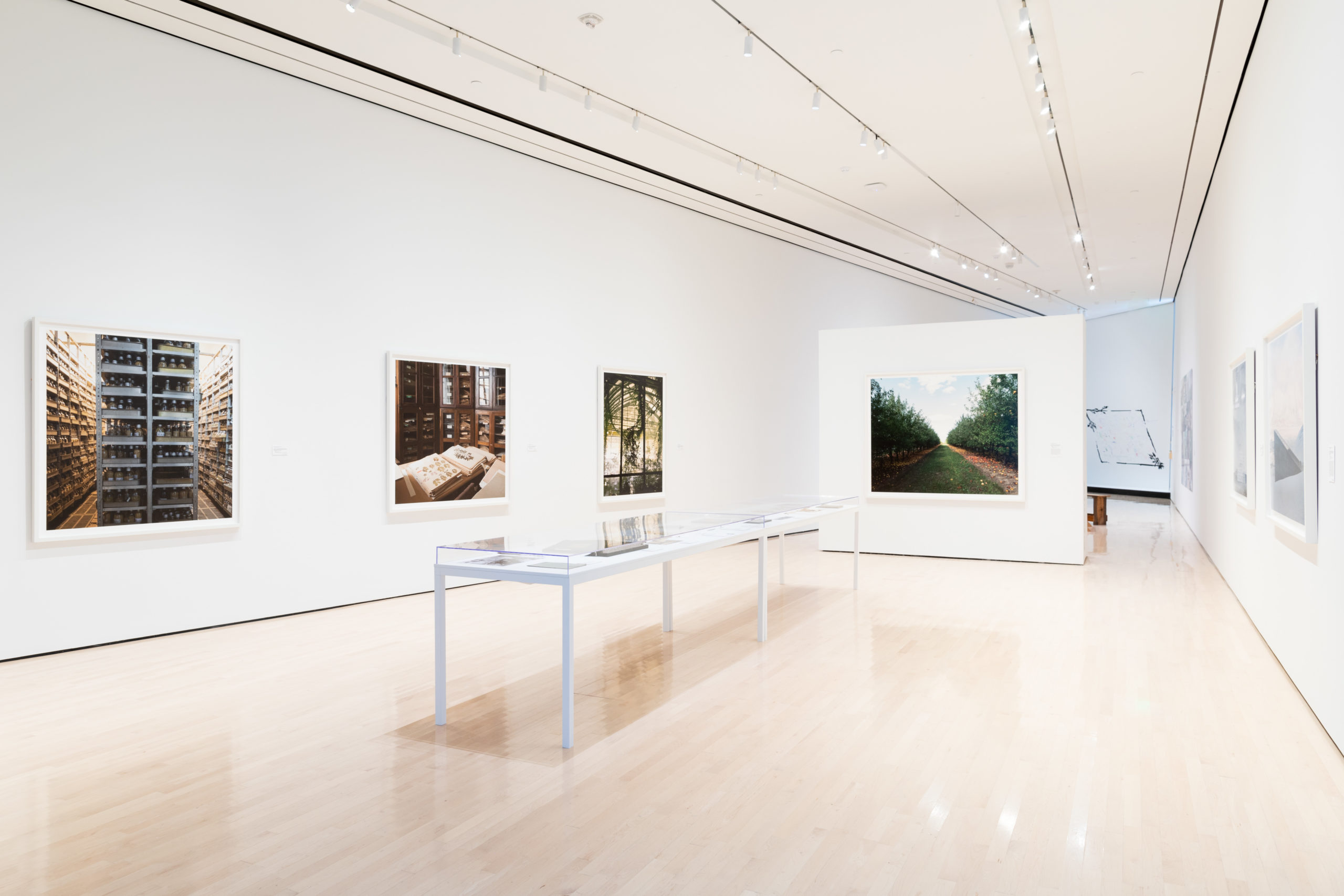 10 OF THE BEST EXHIBITIONS THIS SPRING/SUMMER IN MICHIGAN - MSU Broad ...