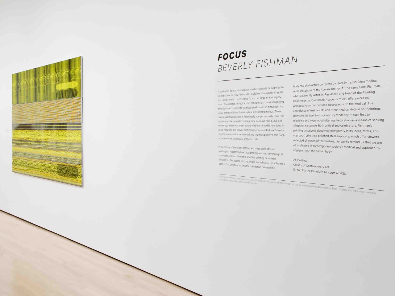 Focus: Beverly Fishman installation view
