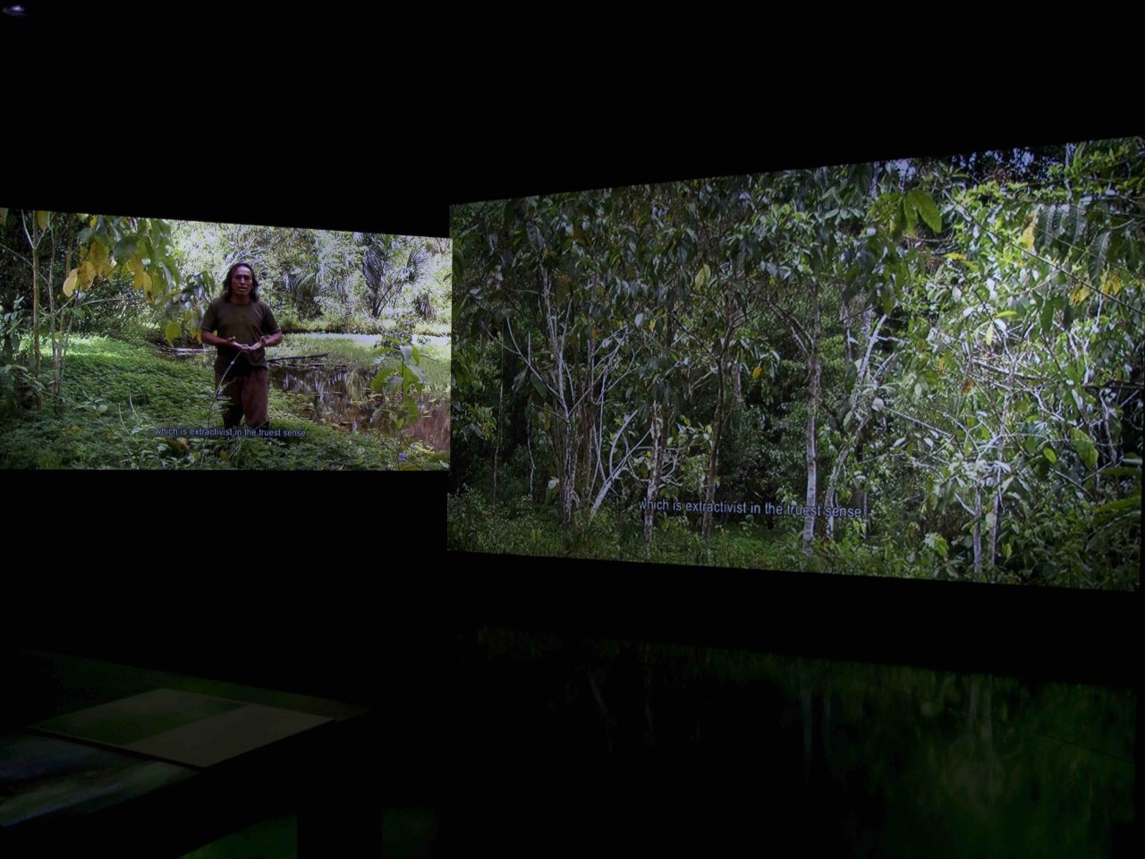 The Land Grant: Forest Law installation view