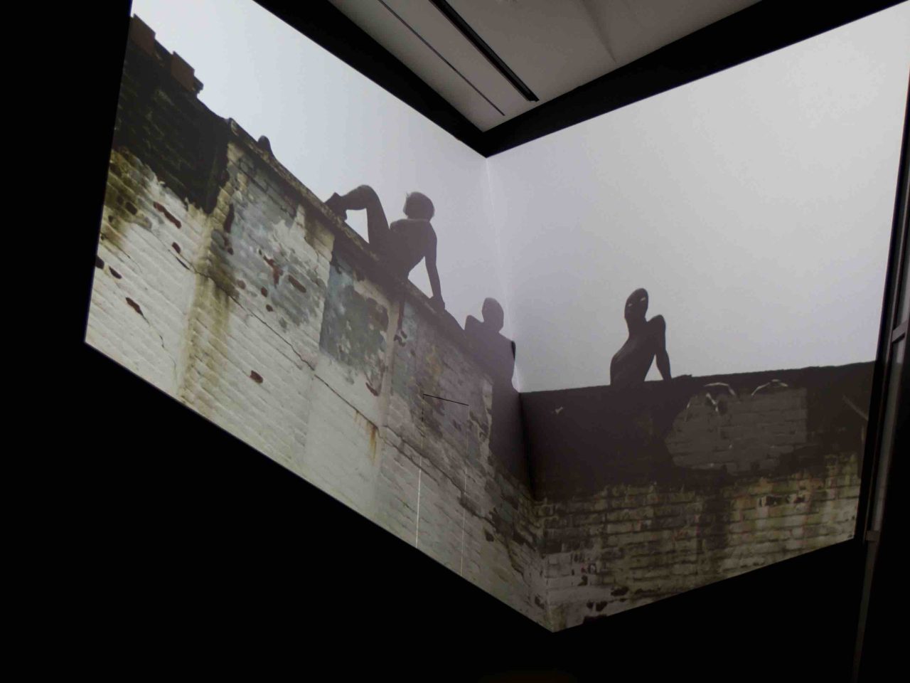Michelle Handelman: Irma Vep, the last breath installation view