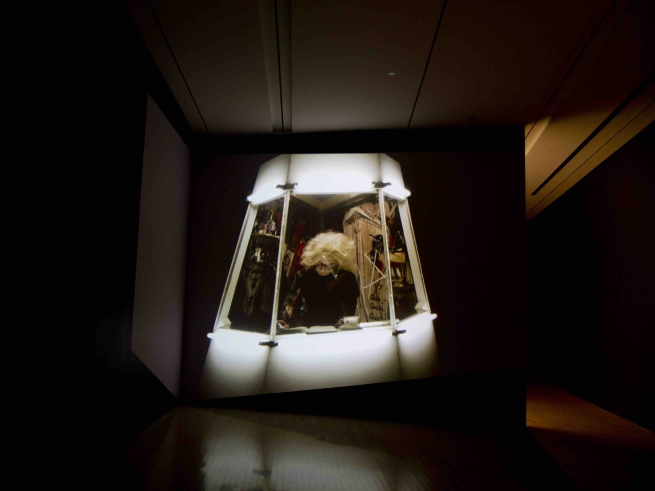 Michelle Handelman: Irma Vep, the last breath installation view