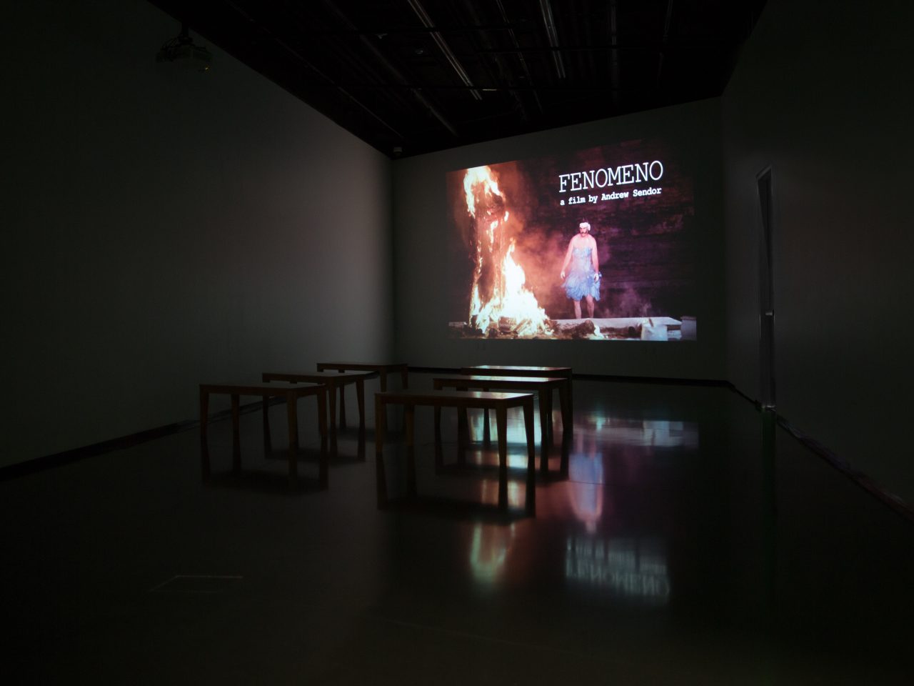 Dark room with a film projected onto the wall