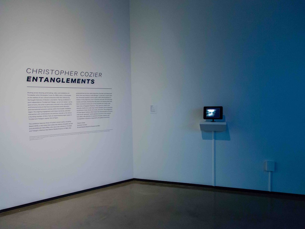 Christopher Cozier: Entanglements exhibition view