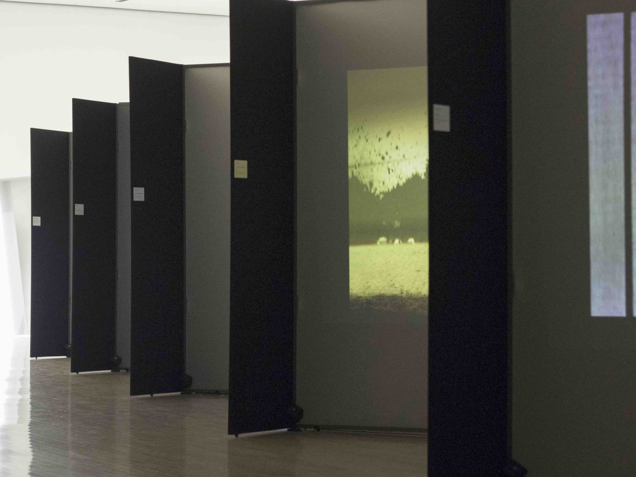 Global Groove 1973/2012 installation view