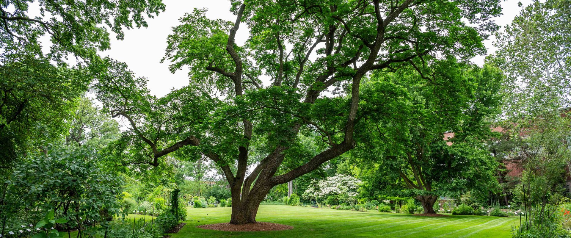 Beal Botanical Garden - MSU Broad Art Museum