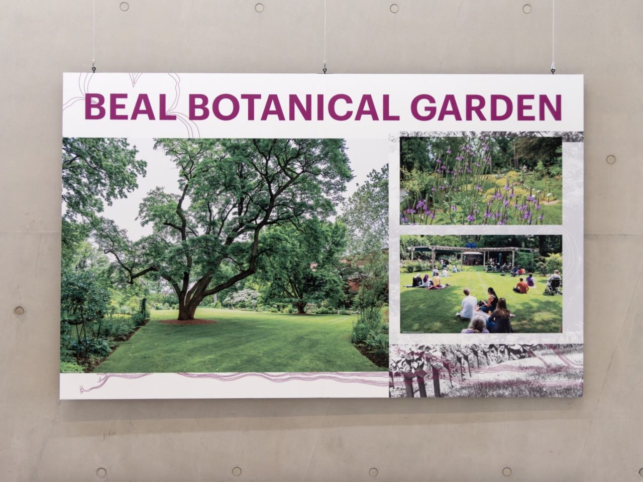 Beal Botanical Garden: Celebrating 150 years of people, plants, and place installation view