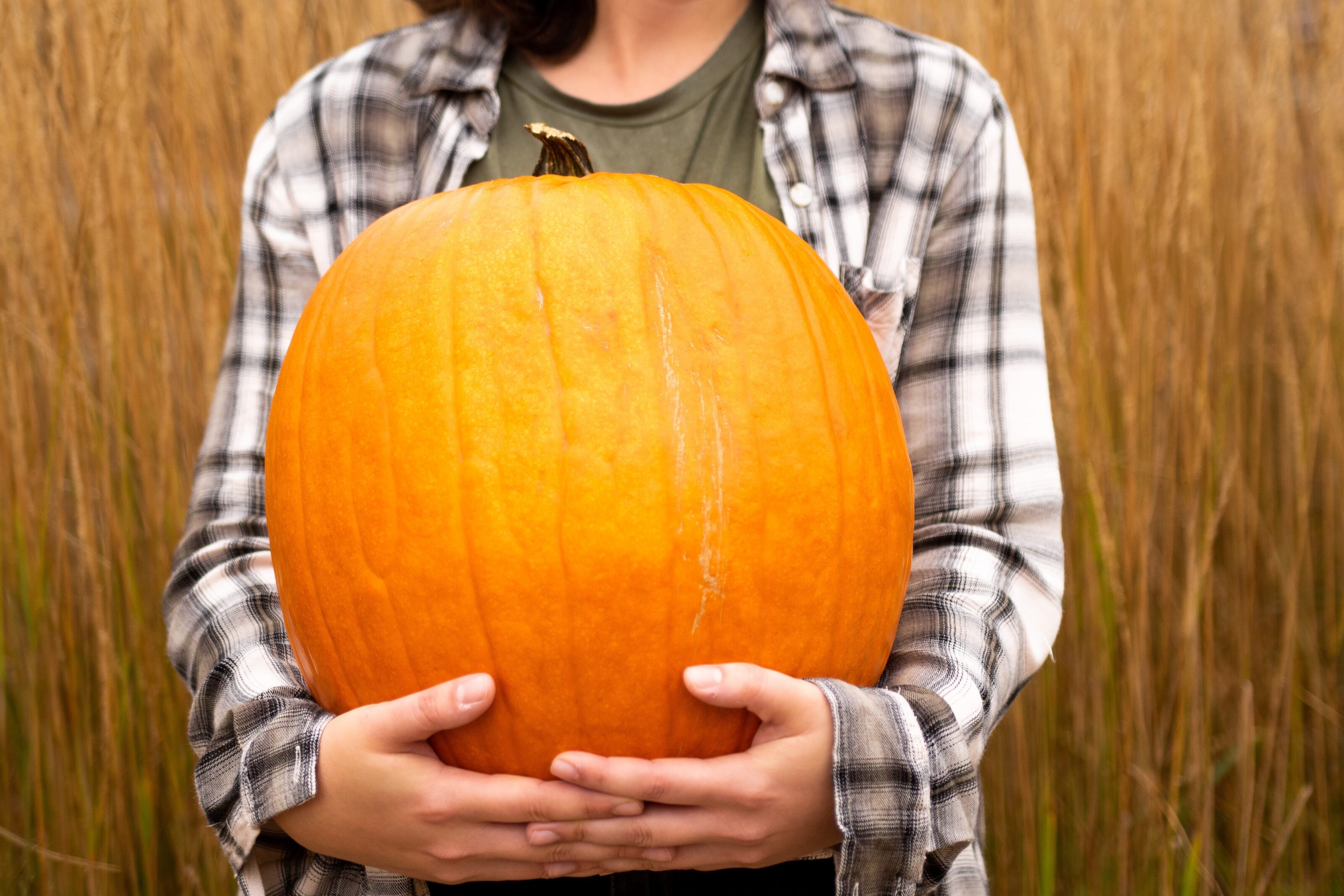 SpARTan Wellness: DIY Pumpkins