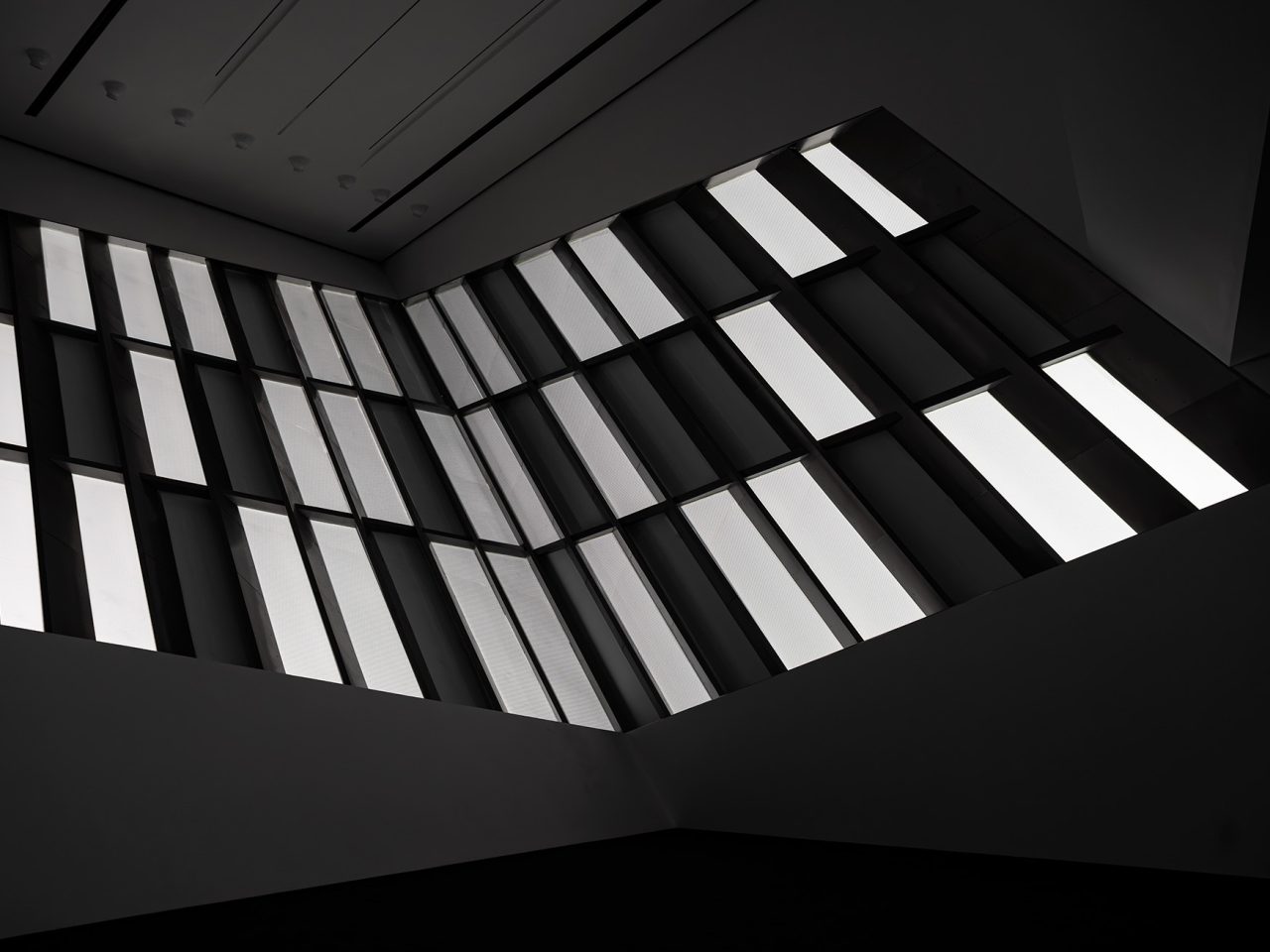 Jan Tichy, Installation no. 48 (Darkness) (detail), 2026. Courtesy the artist. 